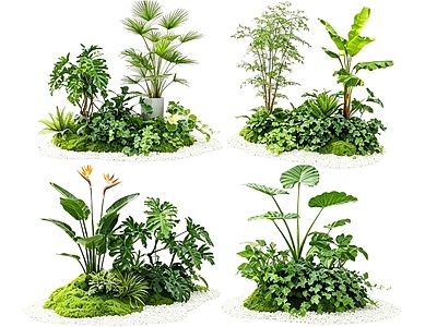 极简花境 2D室内植物组团 花境植物组团 花卉花镜 花草镜植物组合 花草花丛