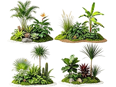极简花境 2D室内植物组团 花境植物组团 花卉花镜 花草镜植物组合 花草花丛