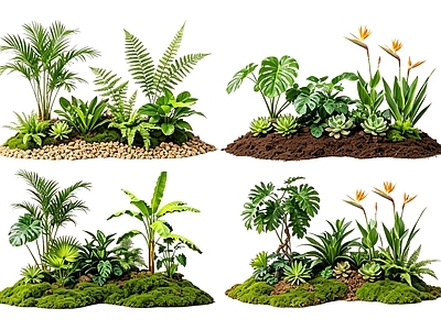 花境 2D室内植物组团 花境植物组团 花卉花镜 花草镜植物组合 花草花丛
