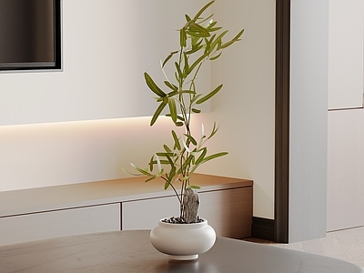 奶油风绿植摆件