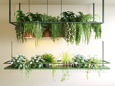现代简约垂直绿化 吊灯花箱 垂植物 植物花箱 植物吊饰 植物吊灯