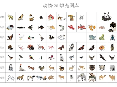 动物图库 动物填充