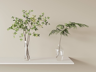 极简盆栽 花瓶水生花艺 绿植盆栽盆景植物