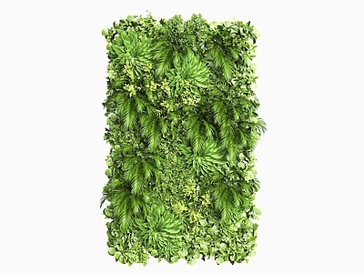 极简绿植墙 植物墙 植物背景墙 植物装饰墙 绿植墙 垂挂植物