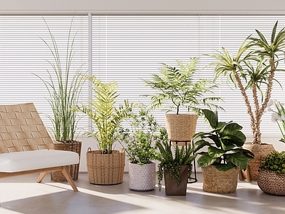 原木风盆栽 侘寂落地绿植组合 阳台露台绿植景观 室内绿植软装 庭院花园绿植 侘寂风绿植家具