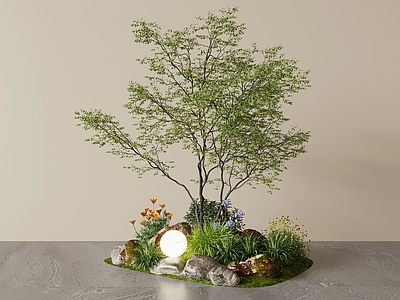禅意庭院小品 室内景观植物造景
