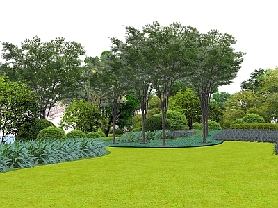 现代主义乔木