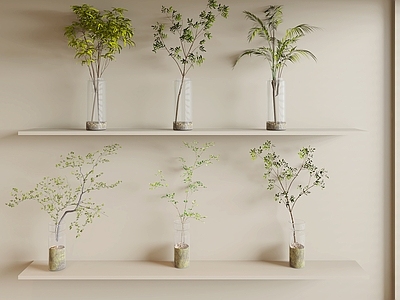 奶油风水生植物 现代绿植花瓶 绿植 花瓶 玻璃绿植