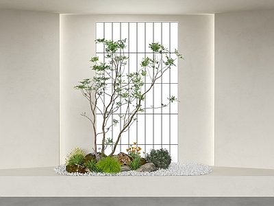 极简室内景观 室内景观 室内小景 缝隙景观 室内造景 室内植物