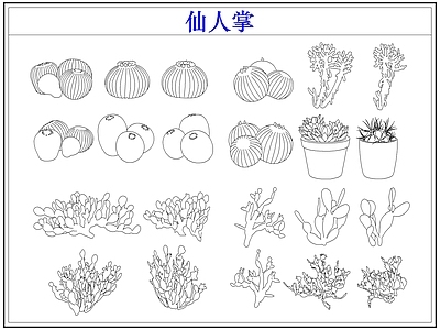 绿植 仙人掌多肉植物