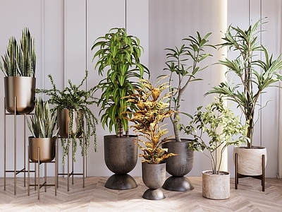 轻奢盆栽 室内花架绿植组合 落地盆栽盆景 造型绿植盆栽 庭院植物景观 绿植造型