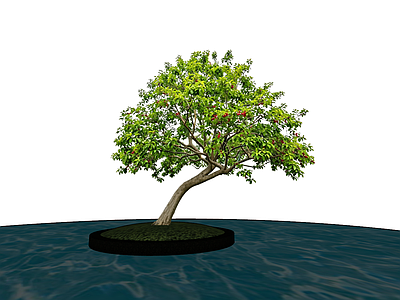 极简乔木 斜飘红果冬青 新中式2D植物 临水造型冬青 展示区精品植物 铁冬青