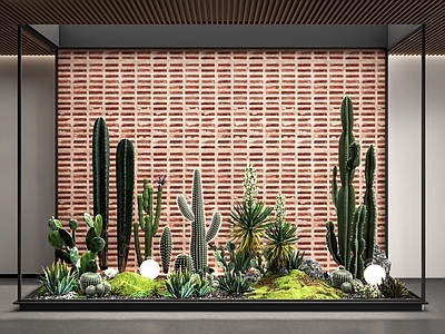 现代室内景观 仙人掌景观造景 植物组合 沙化植物 仙人掌 庭院小品