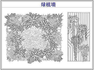 垂直绿化 绿植物墙垂直绿化