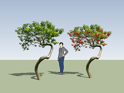 新中式景观乔木 2d红果冬青 精品造型冬青 造型冬青 庭院造型植物 地产精品造型树