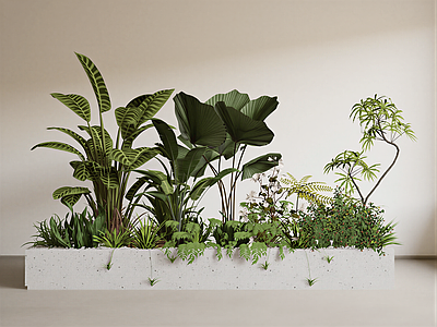 现代植物组合 植物组合 盆栽