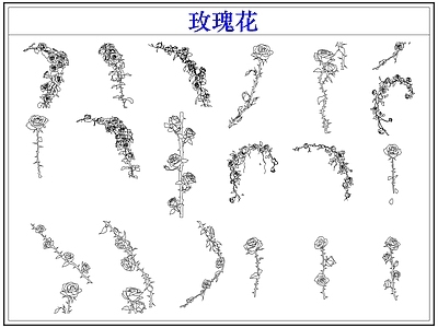 花 玫瑰花卉