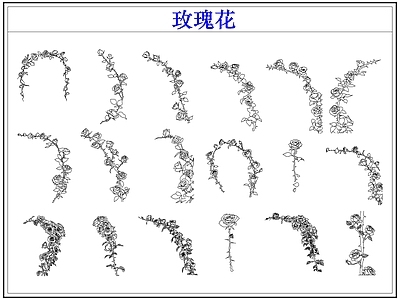 花 玫瑰花卉