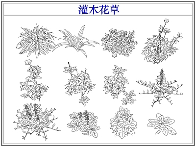 绿植 植物灌木小花草丛