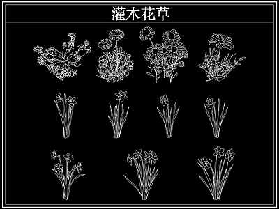 绿植 植物灌木小花草丛