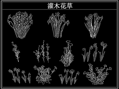 绿植 植物灌木小花草丛
