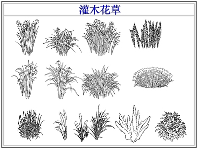 绿植 植物灌木小花草丛