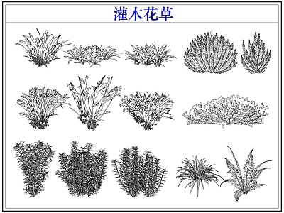 绿植 植物灌木小花草丛