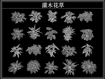 绿植 植物灌木小花草丛