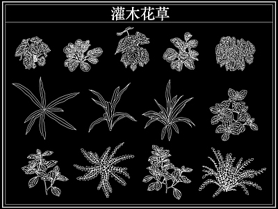 绿植 植物灌木小花草丛