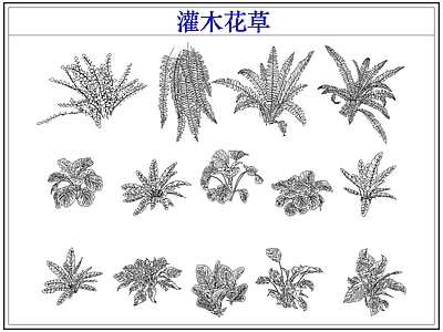 绿植 植物灌木小花草丛