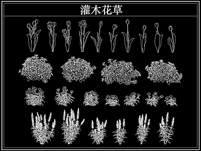 绿植 植物灌木小花草丛
