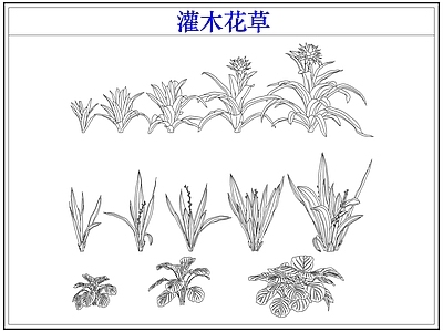 绿植 植物灌木小花草丛