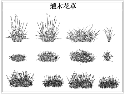 绿植 植物灌木小花草丛