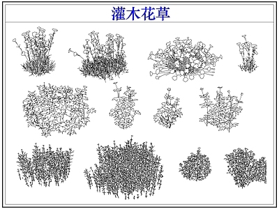 绿植 植物灌木小花草丛