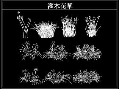 绿植 植物灌木小花草丛