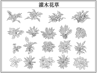 绿植 植物灌木小花草丛