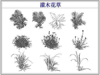 绿植 植物灌木小花草丛