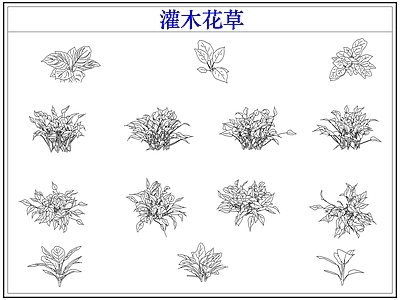 绿植 植物灌木小花草丛