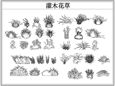 绿植 植物灌木小花草丛