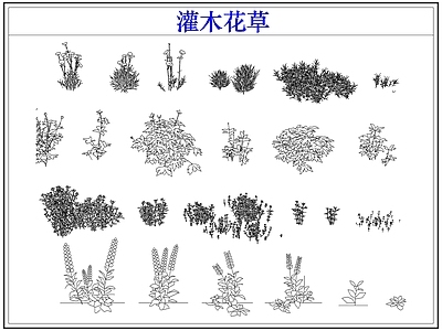 绿植 植物灌木小花草丛