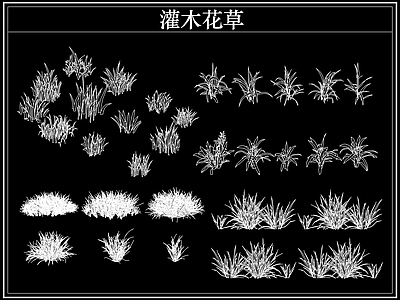 绿植 植物灌木小花草丛