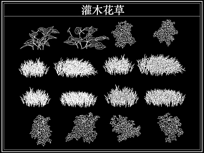 绿植 植物灌木小花草丛
