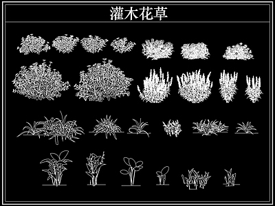 绿植 植物灌木小花草丛