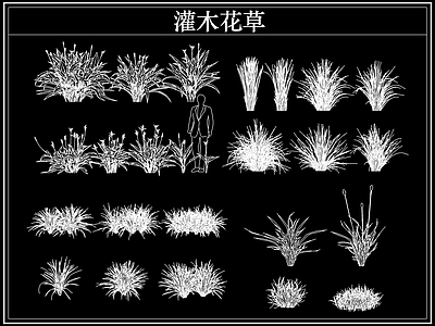 绿植 植物灌木小花草丛