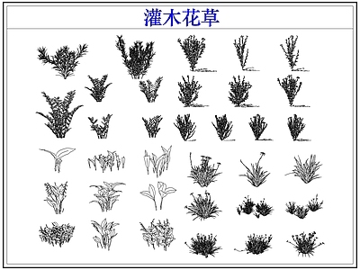 绿植 植物灌木小花草丛