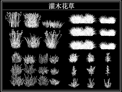 绿植 植物灌木小花草丛