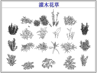 绿植 植物灌木小花草丛