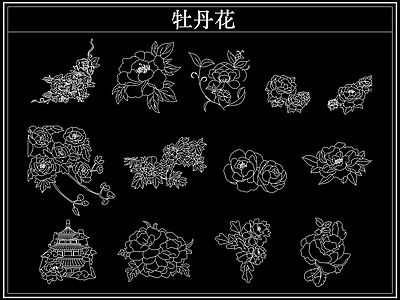 花 牡丹花卉