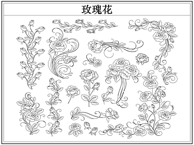 花 玫瑰花卉