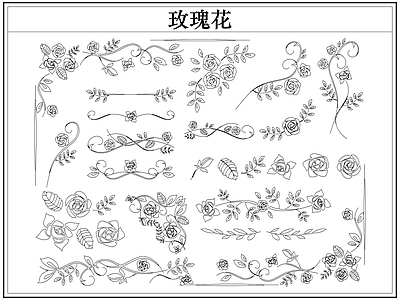 花 玫瑰花卉